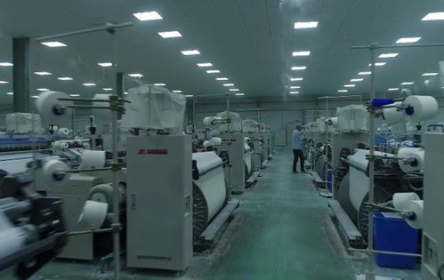 眉县常兴纺织工业园成功创建为 国家级外贸转型升级基地